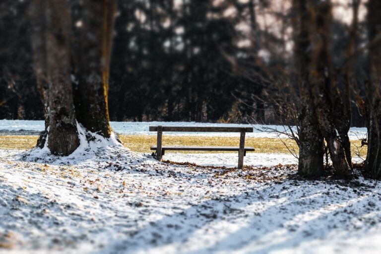 bench-g02125fa94_1920