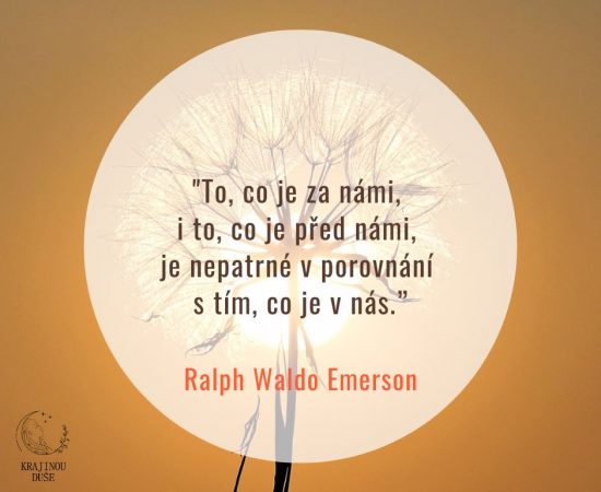 531392928_1308829344585804_233001737791555554_n